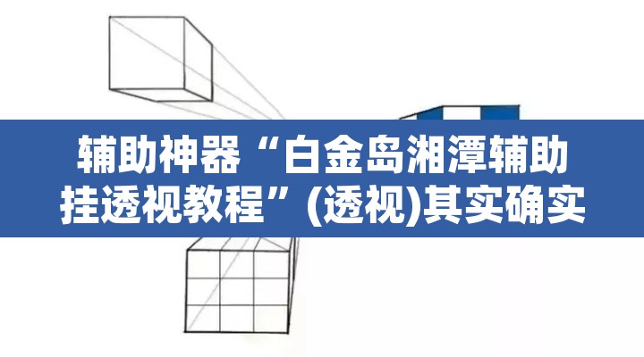 辅助神器“白金岛湘潭辅助挂透视教程”(透视)其实确实有挂