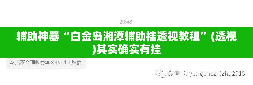 辅助神器“白金岛湘潭辅助挂透视教程	”(透视)其实确实有挂