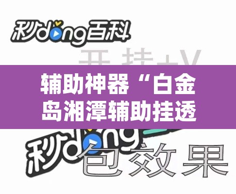 辅助神器“白金岛湘潭辅助挂透视教程”(透视)其实确实有挂