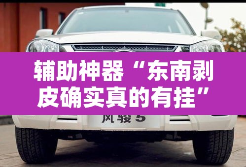 辅助神器“东南剥皮确实真的有挂”其实确实有挂