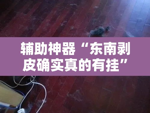 辅助神器“东南剥皮确实真的有挂”其实确实有挂
