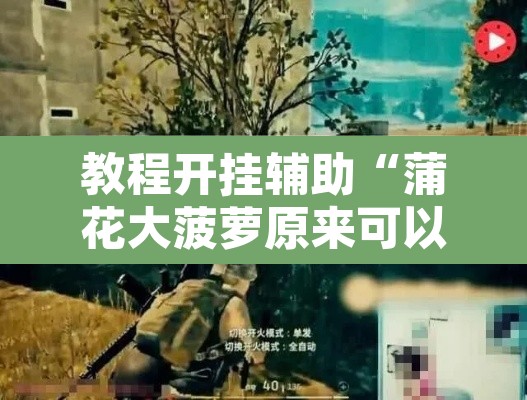 教程开挂辅助“蒲花大菠萝原来可以开挂”附辅助神器开挂脚本详细步骤