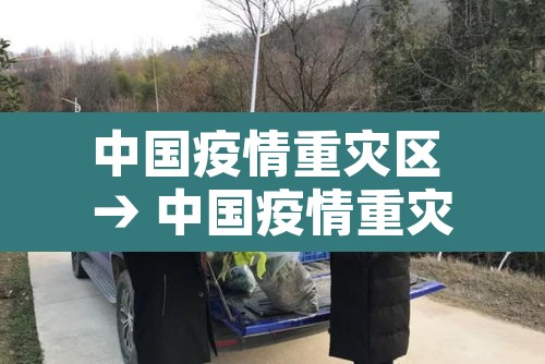 中国疫情重灾区 → 中国疫情重灾区省份