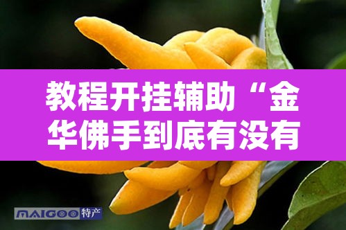 教程开挂辅助“金华佛手到底有没有挂”(透视挂)辅助透视教程
