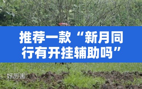 推荐一款“新月同行有开挂辅助吗	”其实确实有挂