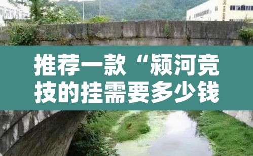 推荐一款“颍河竞技的挂需要多少钱”其实确实有挂