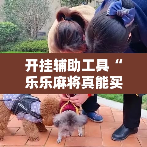 开挂辅助工具“乐乐麻将真能买到挂吗”(透视)其实确实有挂