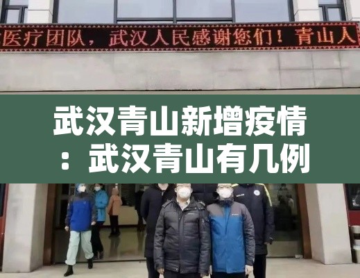 武汉青山新增疫情:武汉青山有几例新冠肺炎 武汉青山新增疫情:武汉青山有几例新冠肺炎