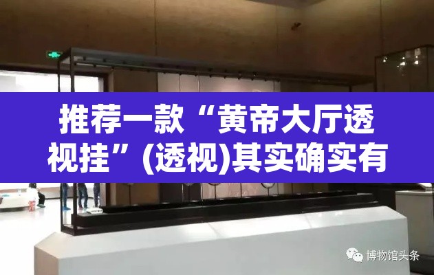 推荐一款“黄帝大厅透视挂”(透视)其实确实有挂