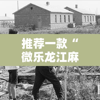 推荐一款“微乐龙江麻将万能开挂器	”开挂辅助脚本+详细开挂安装教程