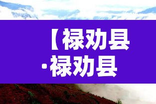 【禄劝县·禄劝县常务副县长】