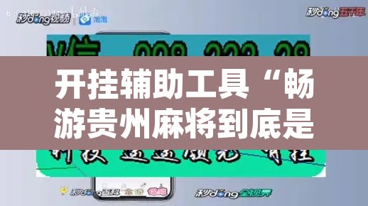 开挂辅助工具“畅游贵州麻将到底是不是挂”(透视挂)辅助透视教程