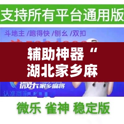 辅助神器“湖北家乡麻将可以开挂吗”开挂辅助脚本+详细开挂安装教程