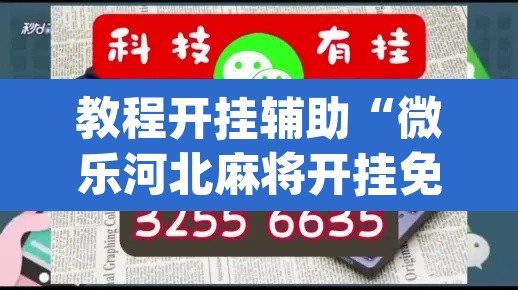 教程开挂辅助“微乐河北麻将开挂免费下载”(透视挂)辅助透视教程