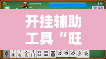 开挂辅助工具“旺旺福建麻将是怎么开挂的”(透视挂)辅助透视教程
