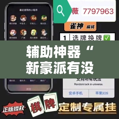 辅助神器“新豪派有没有挂”开挂辅助脚本+详细开挂安装教程