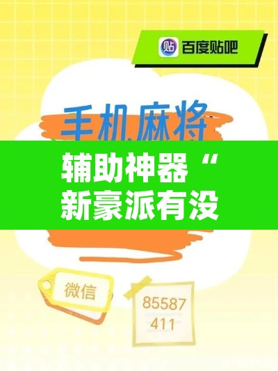 辅助神器“新豪派有没有挂”开挂辅助脚本+详细开挂安装教程
