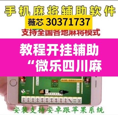 教程开挂辅助“微乐四川麻将怎么开免费的挂”(透视挂)辅助透视教程