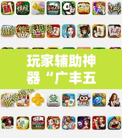 玩家辅助神器“广丰五十k真的确实有挂”(透视)其实确实有挂