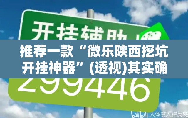 推荐一款“微乐陕西挖坑开挂神器”(透视)其实确实有挂