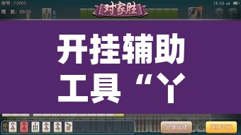 开挂辅助工具“丫丫衡阳字牌有没有挂	”(透视挂)辅助透视教程