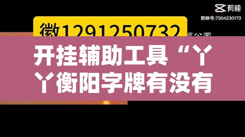 开挂辅助工具“丫丫衡阳字牌有没有挂”(透视挂)辅助透视教程