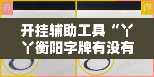 开挂辅助工具“丫丫衡阳字牌有没有挂”(透视挂)辅助透视教程