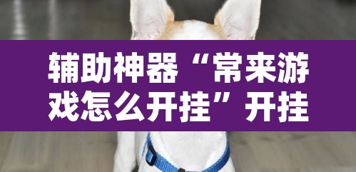 辅助神器“常来游戏怎么开挂	”开挂辅助脚本+详细开挂安装教程