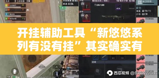 开挂辅助工具“新悠悠系列有没有挂”其实确实有挂