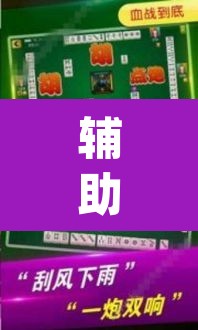 辅助神器“哥哥杭州麻将软件开挂器	”(透视挂)辅助透视教程