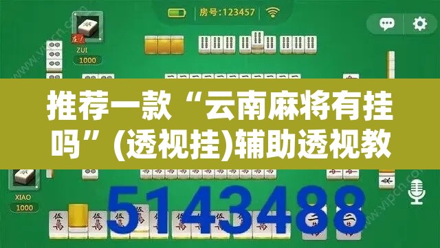 推荐一款“云南麻将有挂吗”(透视挂)辅助透视教程