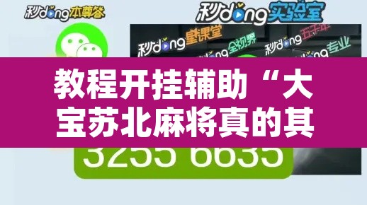 教程开挂辅助“大宝苏北麻将真的其实有挂”其实确实有挂