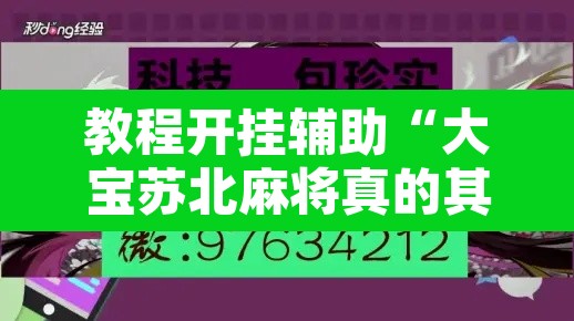 教程开挂辅助“大宝苏北麻将真的其实有挂”其实确实有挂