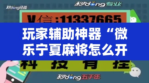 玩家辅助神器“微乐宁夏麻将怎么开挂	”(透视)其实确实有挂