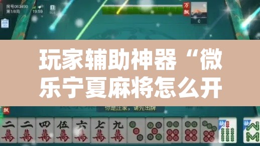 玩家辅助神器“微乐宁夏麻将怎么开挂”(透视)其实确实有挂