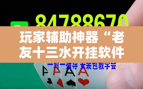 玩家辅助神器“老友十三水开挂软件教程”其实确实有挂