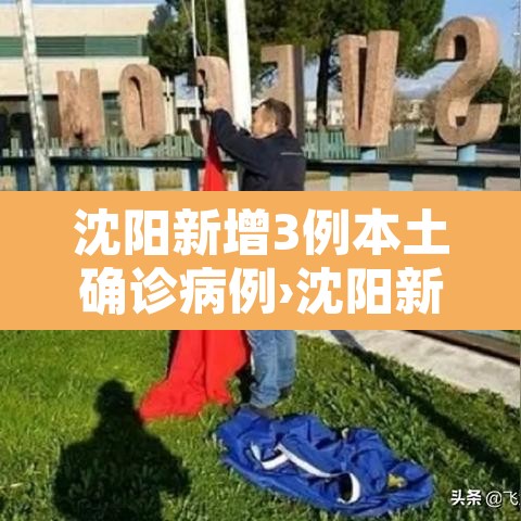 沈阳新增3例本土确诊病例›沈阳新增3例本土确诊病例在哪