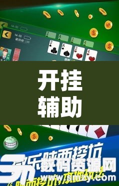 开挂辅助工具“微乐陕西挖坑辅助”其实确实有挂