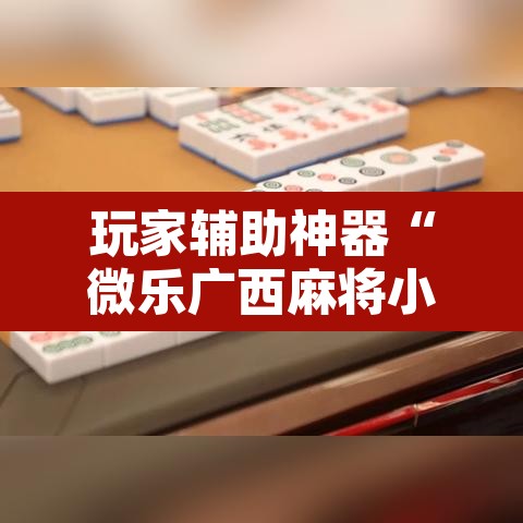 玩家辅助神器“微乐广西麻将小程序开挂神器”其实确实有挂
