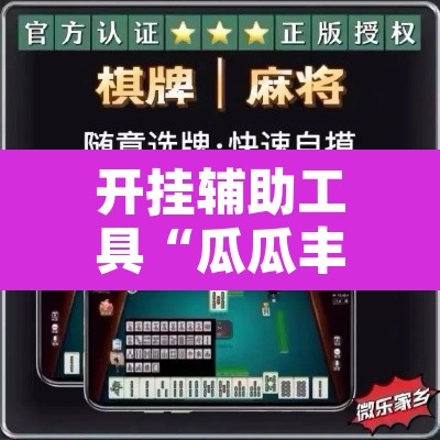 开挂辅助工具“瓜瓜丰城棋牌开挂器	”开挂辅助脚本+详细开挂安装教程