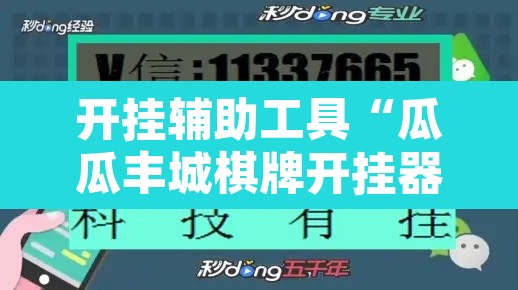 开挂辅助工具“瓜瓜丰城棋牌开挂器”开挂辅助脚本+详细开挂安装教程