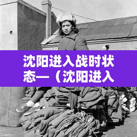 沈阳进入战时状态—（沈阳进入战时状态什么意思）