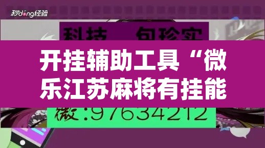 开挂辅助工具“微乐江苏麻将有挂能查出来吗	”(透视)其实确实有挂