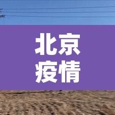 北京疫情分布情况 → 北京疫情分布2020 北京疫情分布情况 → 北京疫情分布2020