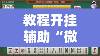 教程开挂辅助“微乐湖南麻将赢牌规律是啥	”(透视挂)辅助透视教程