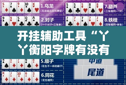 开挂辅助工具“丫丫衡阳字牌有没有挂”(透视)其实确实有挂