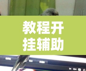 教程开挂辅助“新青鸟真的有挂吗”其实确实有挂