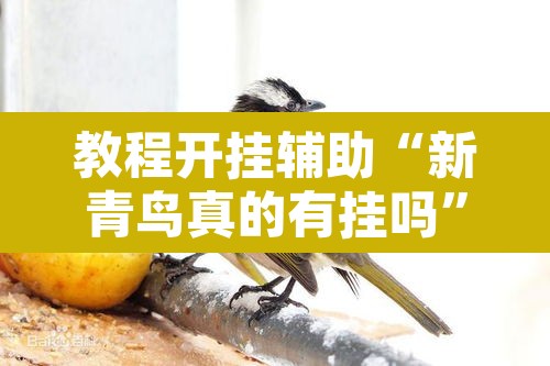 教程开挂辅助“新青鸟真的有挂吗	”其实确实有挂