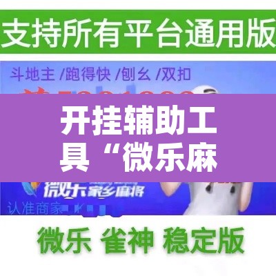 开挂辅助工具“微乐麻将小程序万能开挂器”其实确实有挂