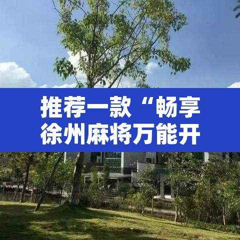 推荐一款“畅享徐州麻将万能开挂器	”附辅助神器开挂脚本详细步骤